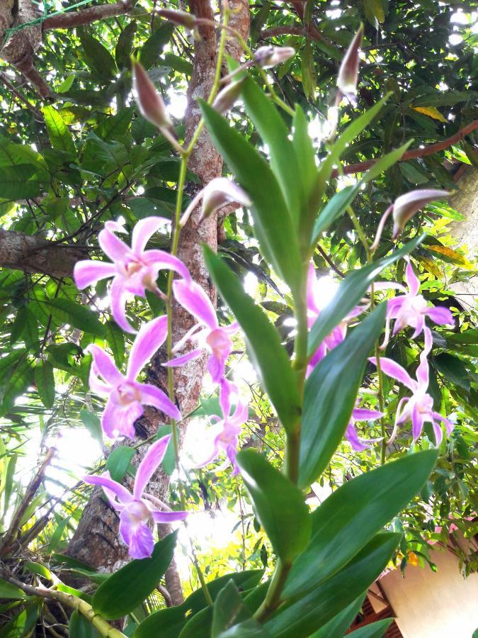 Mango Villa ฮิกคาดูวา ภายนอก รูปภาพ