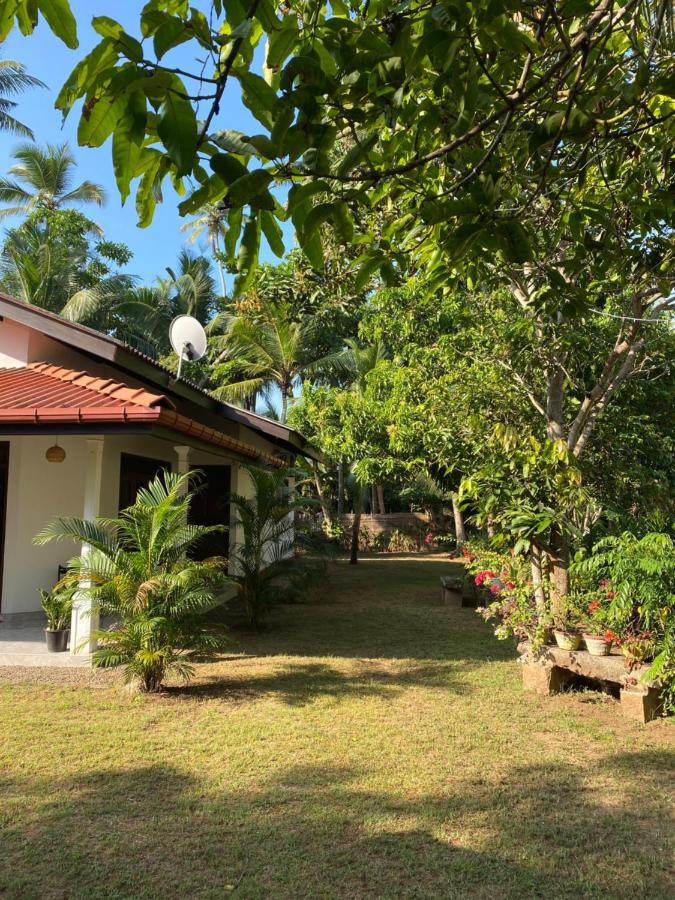 Mango Villa ฮิกคาดูวา ภายนอก รูปภาพ